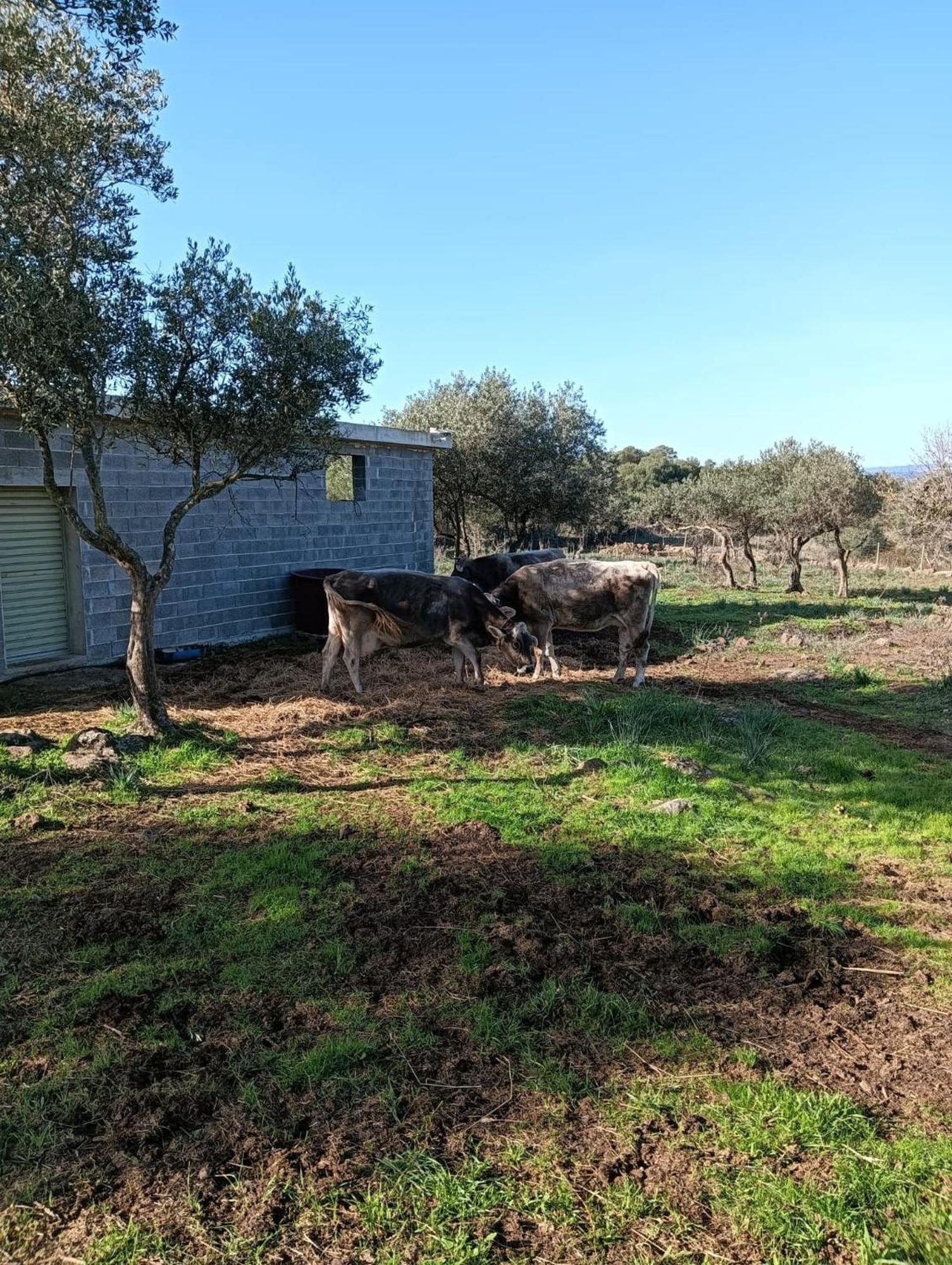 Farmhouse La Croisette - Agriturismo 도르갈리 외부 사진